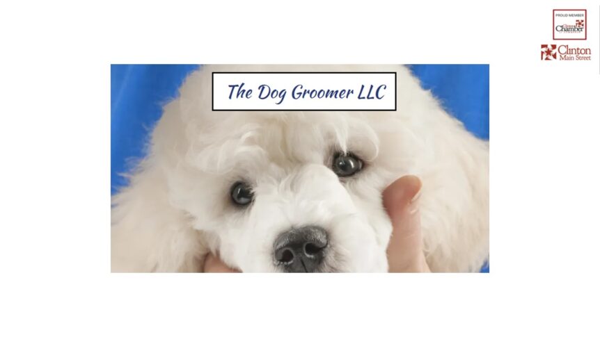 The Dog Groomer