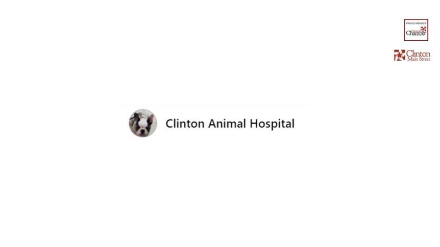 clinton animal hospital