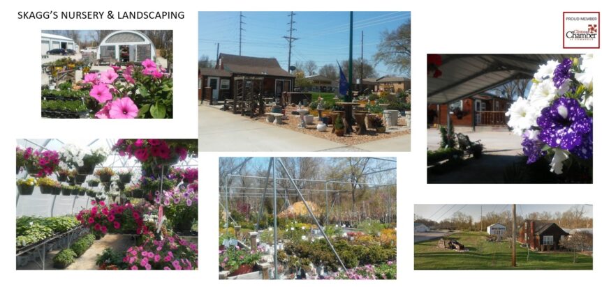 Skaggs' Nursery & Landscape