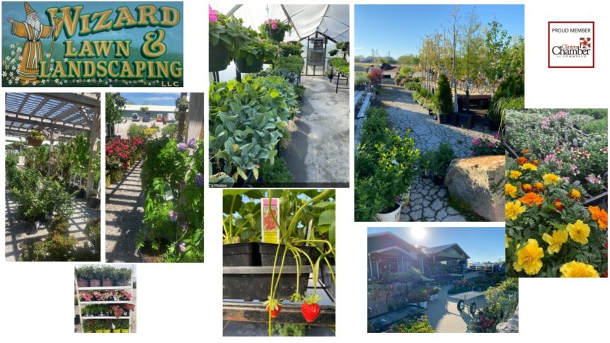 Wizard Lawn & Landscape, LLC